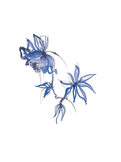 Blue velvet -servetti 24 x 24 cm, 12 kpl