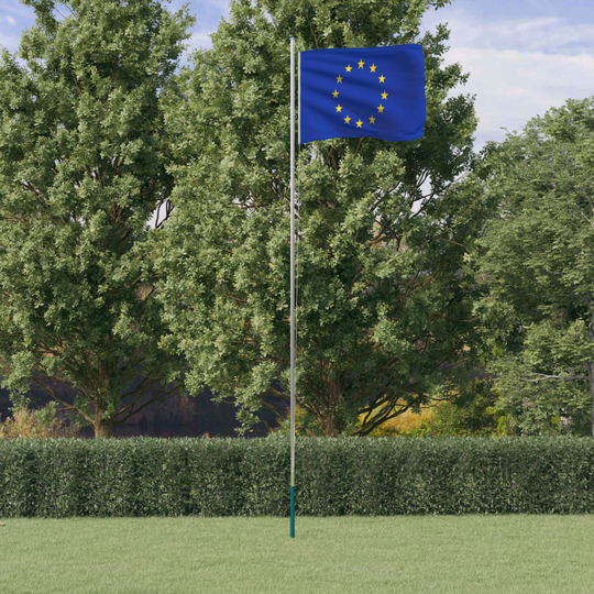 vidaXL Euroopan unionin lippu ja lipputanko 6,23 m alumiini