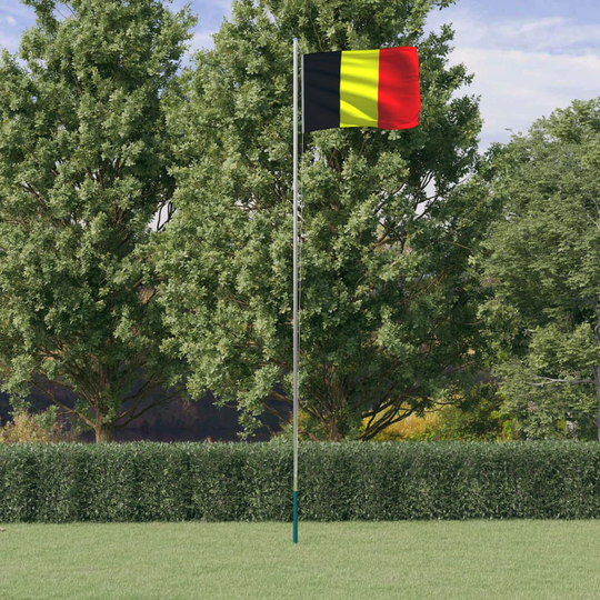 vidaXL Belgian lippu ja lipputanko 6,23 m alumiini