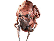 Plo Koon naamari