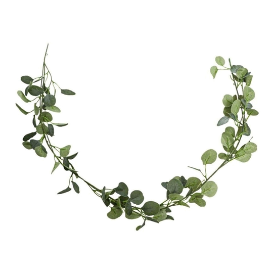 Viirinauha Eukalyptus Vihreä