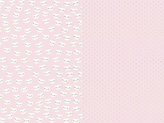 Lahjapaperi Cat