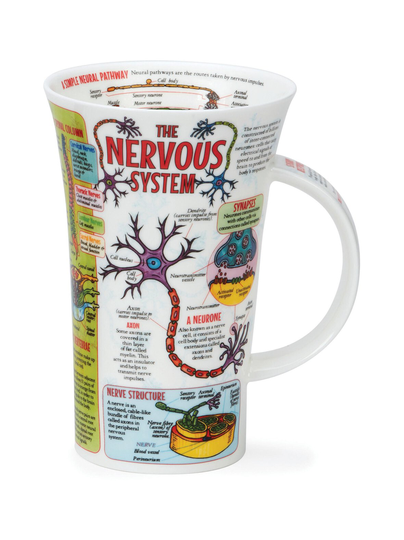 Glen the nervous system -muki 0,5 l