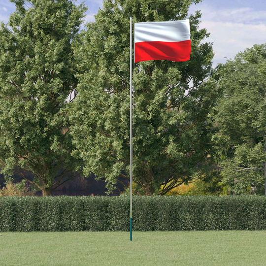 vidaXL Puolan lippu ja lipputanko 6,23 m alumiini