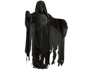 Dementor kokoasu