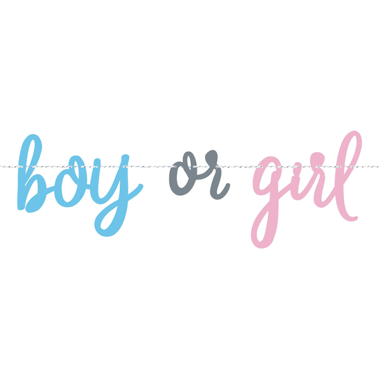 Viirinauha Gender Reveal Boy or Girl