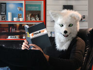 Mr Fox puhuva kettunaamari