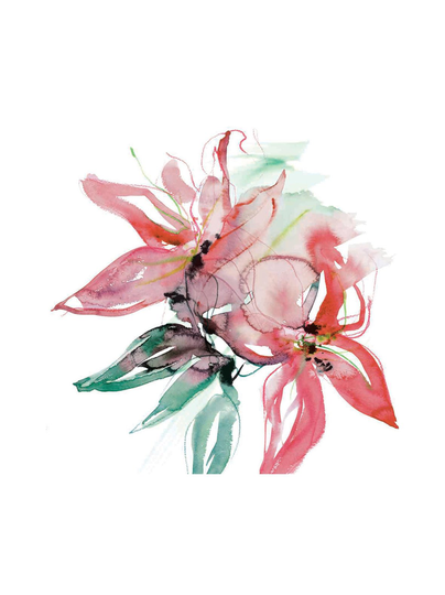 Amazon lily -lautasliinat 33 cm, 20 kpl