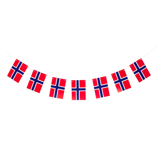 Viirinauha Norjan Lippu